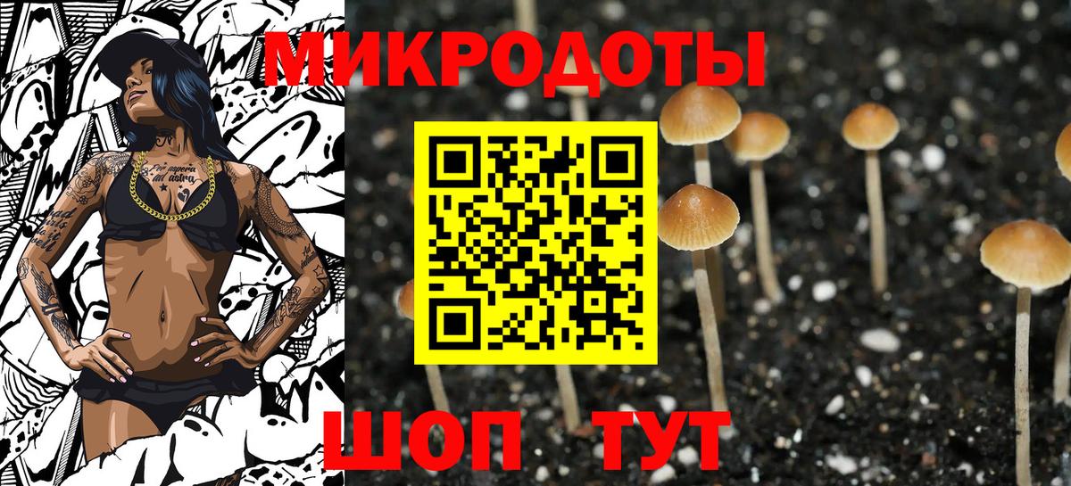 Галлюциногенные грибы мицелий  Галлюциногенные грибы GOLDEN TEACHER  Вход с VPN  Реж 